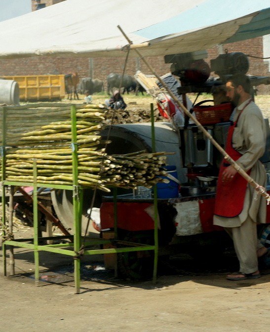 Fresh sugar cane juice 001